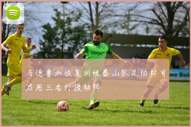 马德鲁加恢复训练泰山队足协杯可启用三名外援助阵